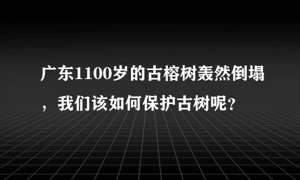 广东1100岁的古榕树轰然倒塌，我们该如何保护古树呢？
