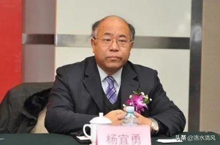 杨宜勇在黑人永居中国的事件中扮演什么样的角色?