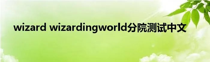 wizard wizardingworld分院测试中文