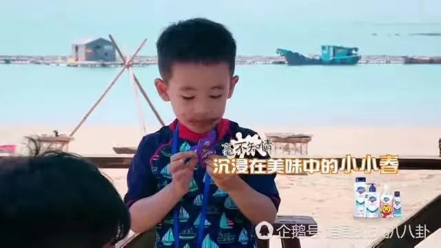 为什么这么多人喜欢Jasper?