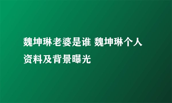 魏坤琳老婆是谁 魏坤琳个人资料及背景曝光