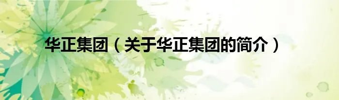 华正集团（关于华正集团的简介）