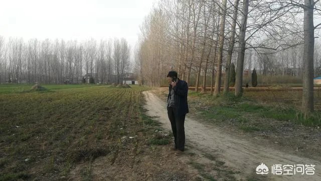 农村种植什么最合适?