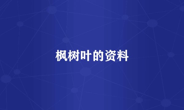 枫树叶的资料