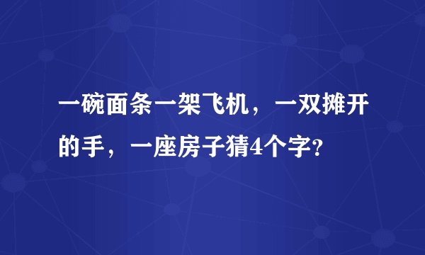 一碗面条一架飞机，一双摊开的手，一座房子猜4个字？