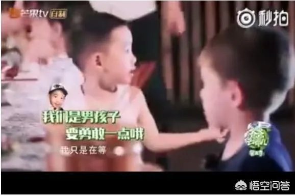 为什么这么多人喜欢Jasper?