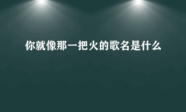 你就像那一把火的歌名是什么