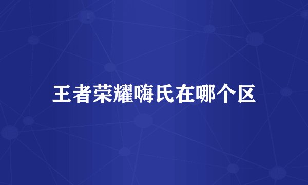 王者荣耀嗨氏在哪个区
