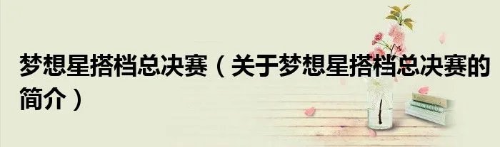 梦想星搭档总决赛（关于梦想星搭档总决赛的简介）