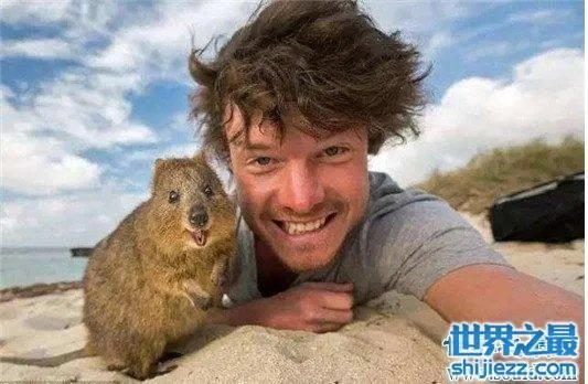 世界上最忧伤的狗,把悲伤写在了脸上