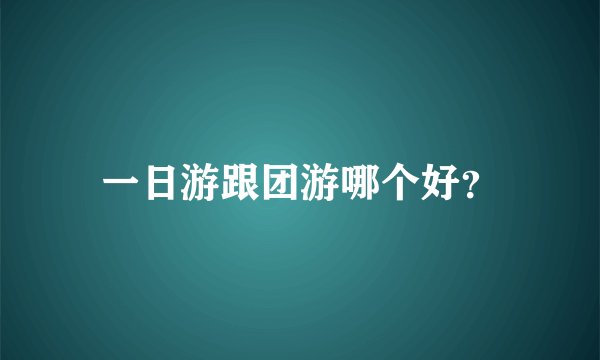 一日游跟团游哪个好？