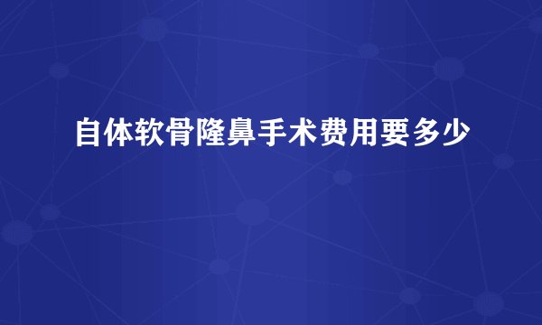 自体软骨隆鼻手术费用要多少