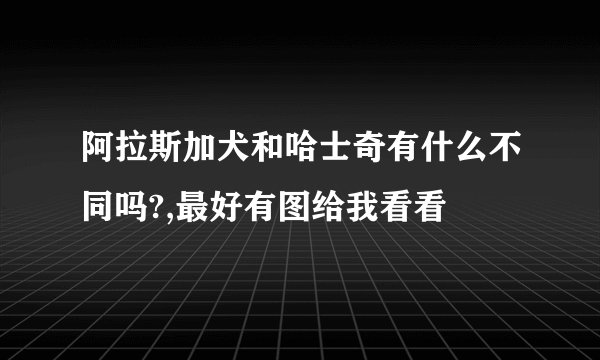 阿拉斯加犬和哈士奇有什么不同吗?,最好有图给我看看