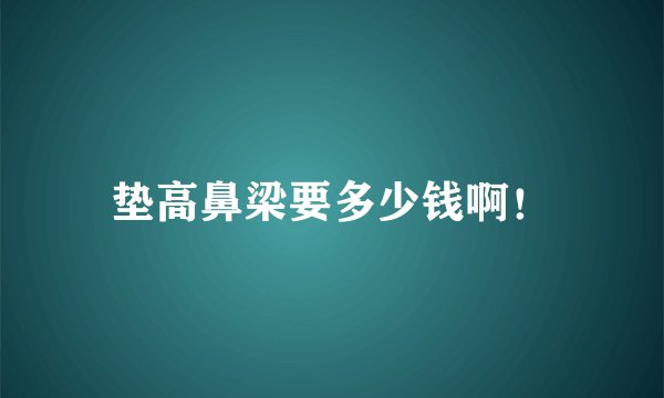垫高鼻梁要多少钱啊！