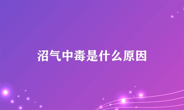 沼气中毒是什么原因