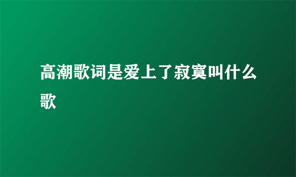 高潮歌词是爱上了寂寞叫什么歌