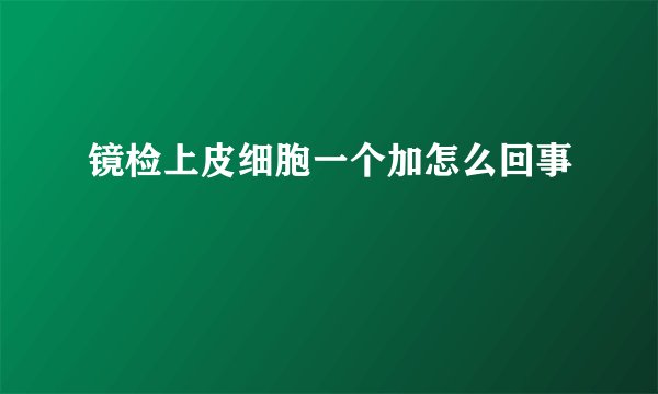 镜检上皮细胞一个加怎么回事