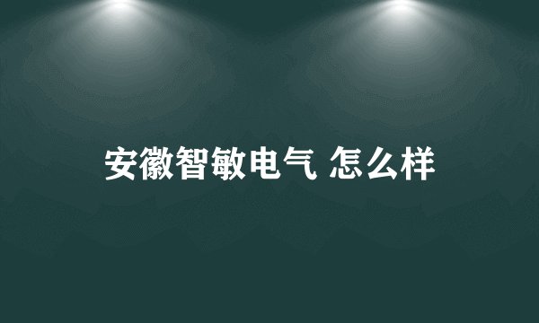 安徽智敏电气 怎么样