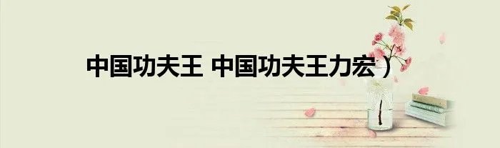 中国功夫王 中国功夫王力宏）