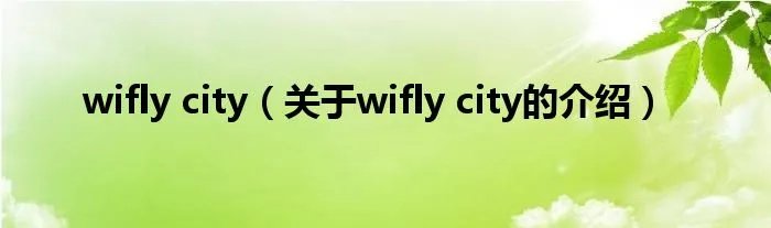wifly city（关于wifly city的介绍）