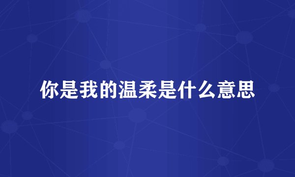 你是我的温柔是什么意思