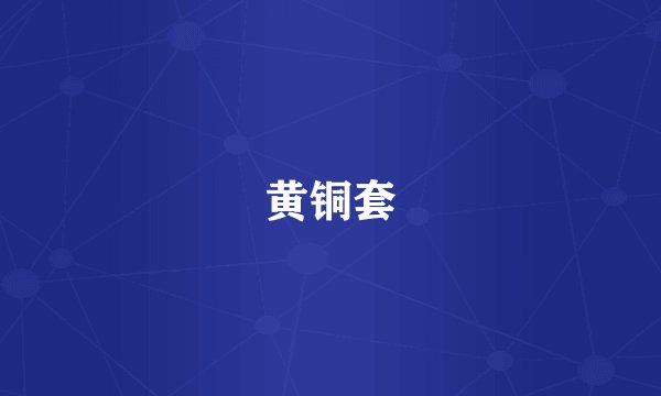 黄铜套