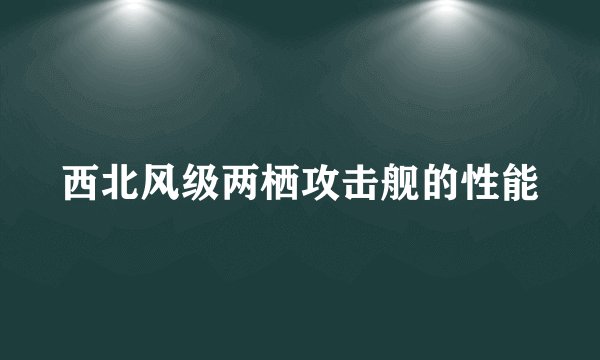 西北风级两栖攻击舰的性能