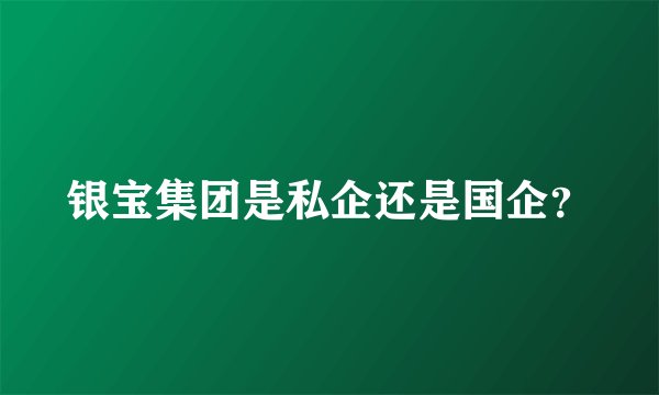 银宝集团是私企还是国企？