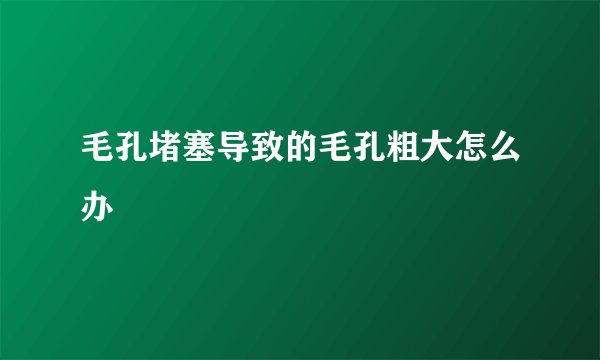 毛孔堵塞导致的毛孔粗大怎么办