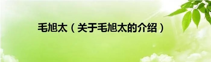 毛旭太（关于毛旭太的介绍）