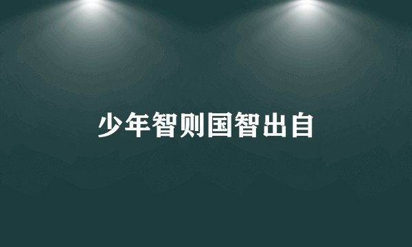 少年智则国智出自