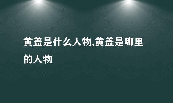 黄盖是什么人物,黄盖是哪里的人物