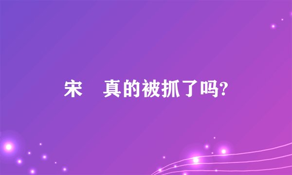 宋喆真的被抓了吗?