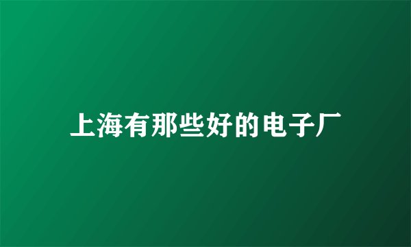 上海有那些好的电子厂