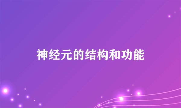 神经元的结构和功能
