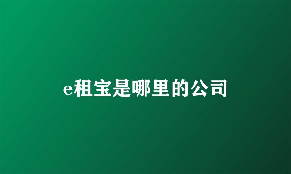 e租宝是哪里的公司