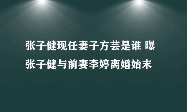 张子健现任妻子方芸是谁 曝张子健与前妻李婷离婚始末