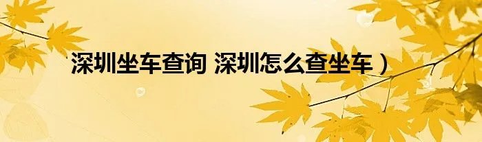 深圳坐车查询 深圳怎么查坐车）