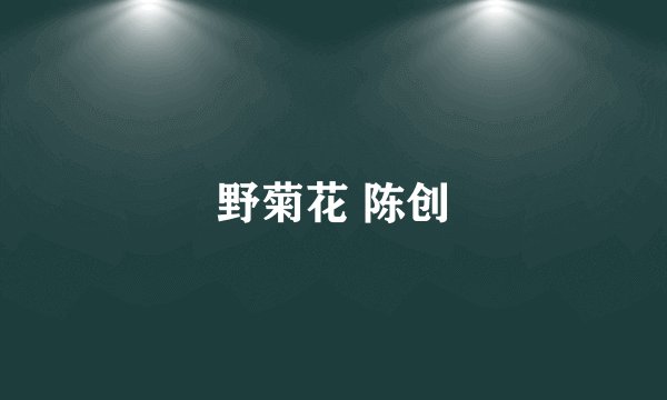 野菊花 陈创