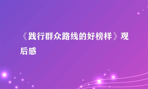 《践行群众路线的好榜样》观后感