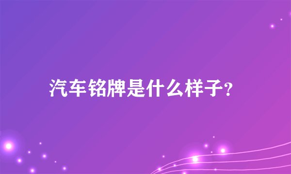 汽车铭牌是什么样子？