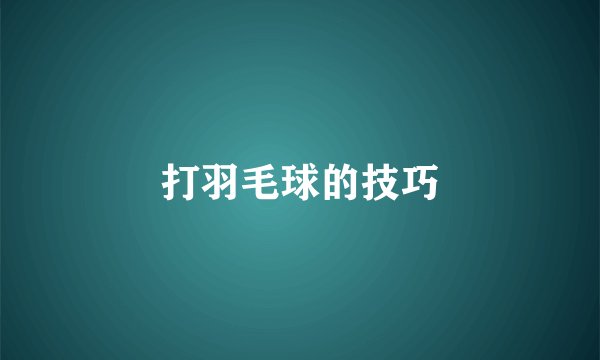 打羽毛球的技巧