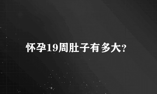 怀孕19周肚子有多大？