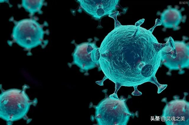 新冠病毒是怎么通过变异等级确定来源的？