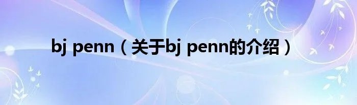 bj penn（关于bj penn的介绍）