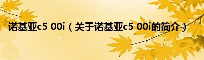 诺基亚c5 00i（关于诺基亚c5 00i的简介）