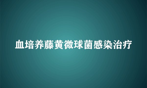 血培养藤黄微球菌感染治疗