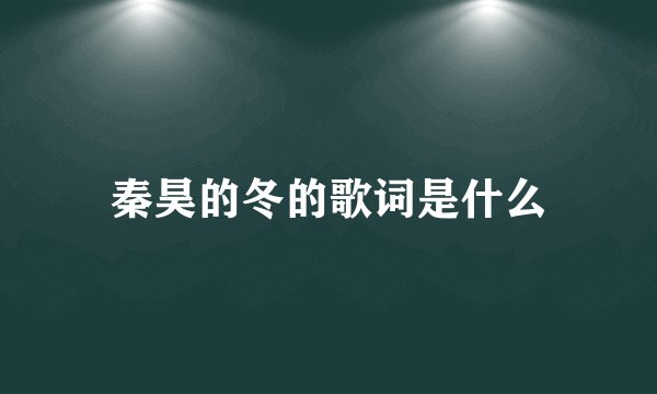 秦昊的冬的歌词是什么