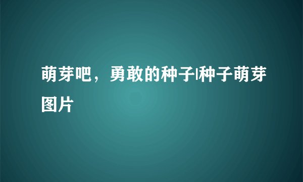 萌芽吧，勇敢的种子|种子萌芽图片