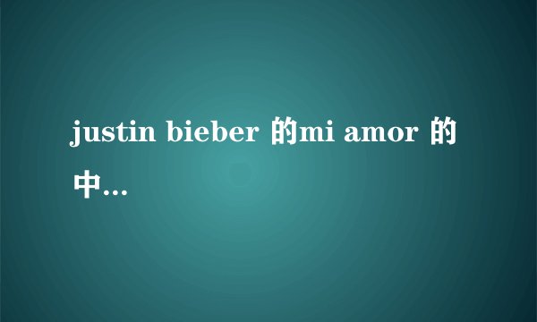 justin bieber 的mi amor 的中文歌词什么意思？